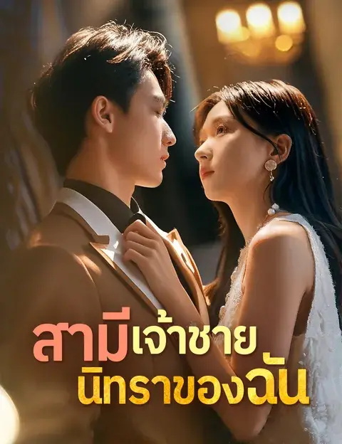สามีเจ้าชายนิทราของฉัน ซับไทย