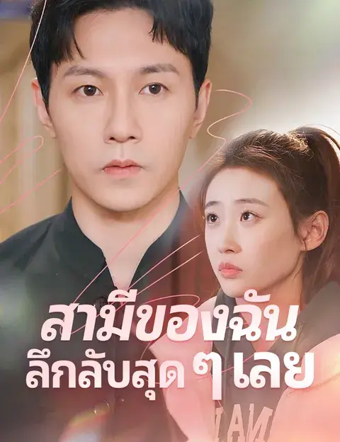 สามีของฉันลึกลับสุด ๆ เลย ซับไทย