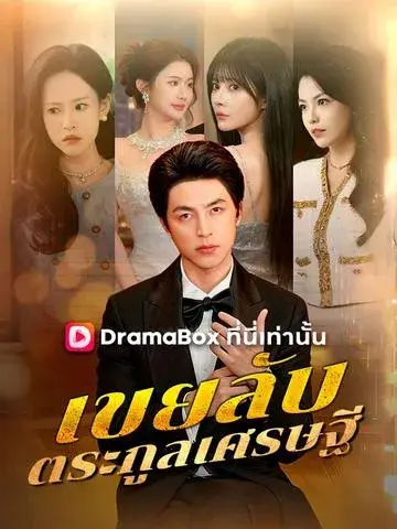 เขยลับตระกูลเศรษฐี พากย์ไทย