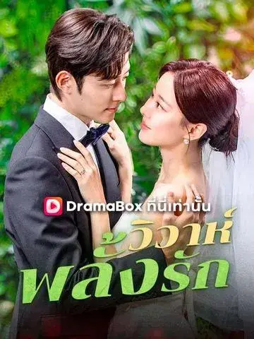 วิวาห์พลั้งรัก ซับไทย