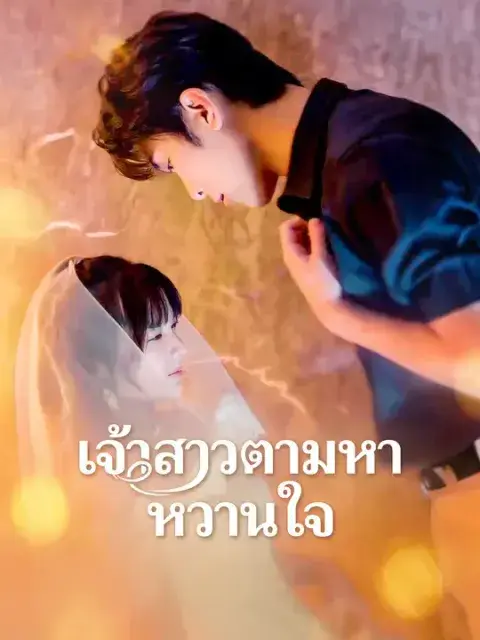 เจ้าสาวตามหาหวานใจ ซับไทย