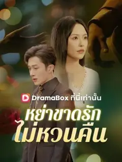 หย่าขาดรัก ไม่หวนคืน ซับไทย