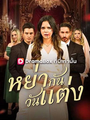 หย่ากันวันแต่ง ซับไทย