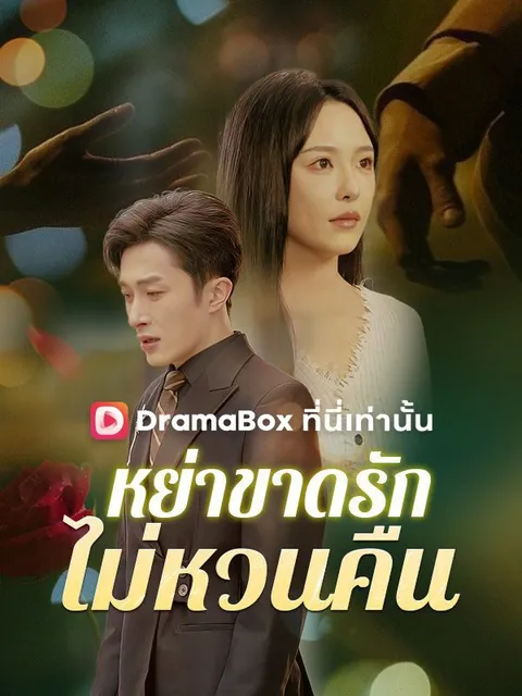 หย่าขาดรัก ไม่หวนคืน พากย์ไทย