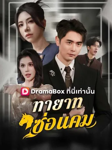 ทายาทซ่อนคม ซับไทย