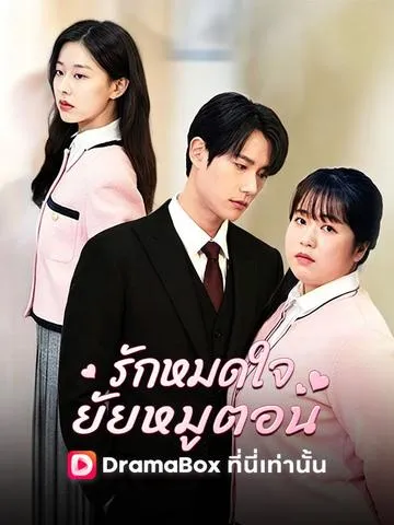 รักหมดใจยัยหมูตอน ซับไทย