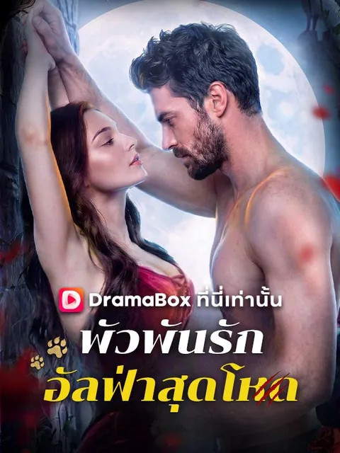 พัวพันรักอัลฟ่าสุดโหด ซับไทย