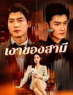 เงาของสามี ซับไทย