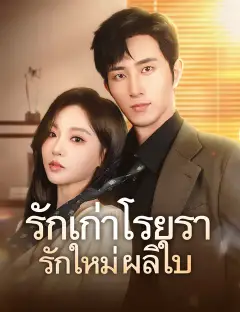 รักเก่าโรยรา รักใหม่ผลิใบ ซับไทย