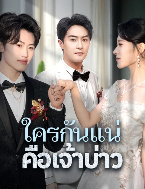 ใครกันแน่คือเจ้าบ่าว ซับไทย