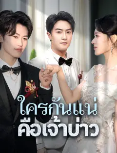 ใครกันแน่คือเจ้าบ่าว ซับไทย