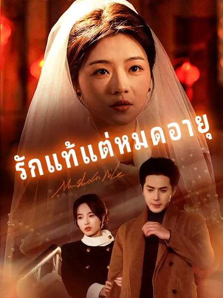รักแท้แต่หมดอายุ ซับไทย
