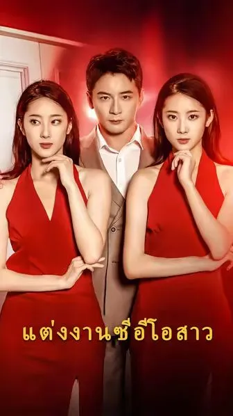 แต่งงานซีอีโอสาว ซับไทย