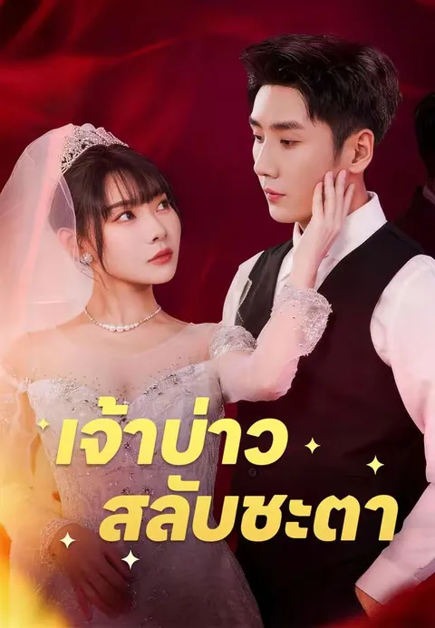 เจ้าบ่าวสลับชะตา พากย์ไทย