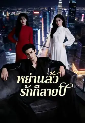 หย่าแล้วรักก็สายไป ซับไทย
