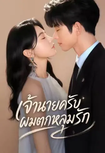 เจ้านายครับ ผมตกหลุมรัก พากย์ไทย