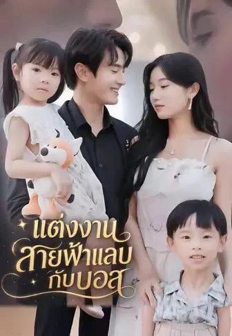แต่งงานสายฟ้าแลบกับบอส ซับไทย