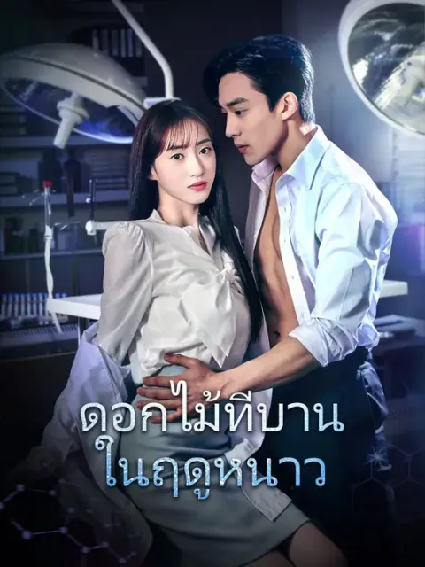 ดอกไม้ที่บานในฤดูหนาว ซับไทย