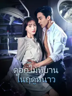 ดอกไม้ที่บานในฤดูหนาว ซับไทย