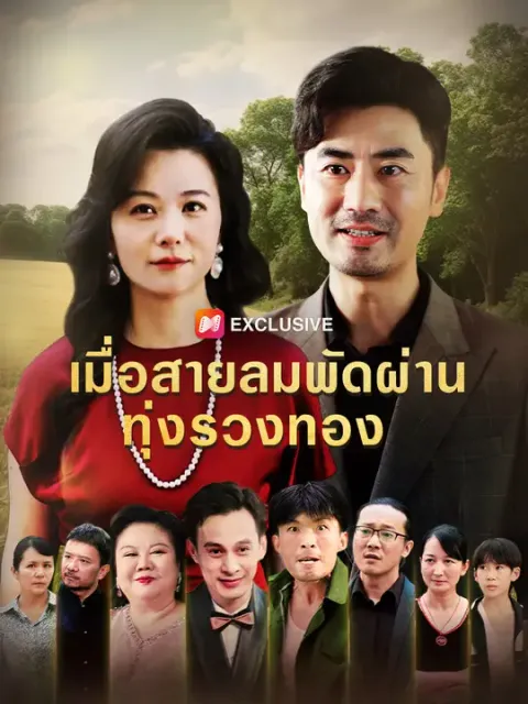 เมื่อสายลมพัดผ่านทุ่งรวงทอง ซับไทย