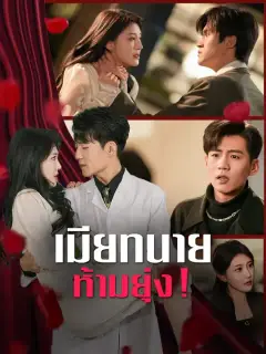 เมียทนาย ห้ามยุ่ง! ซับไทย