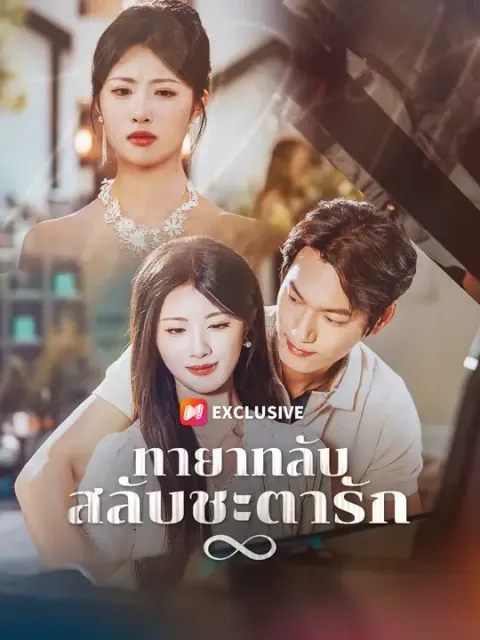 ทายาทลับ สลับชะตารัก ซับไทย