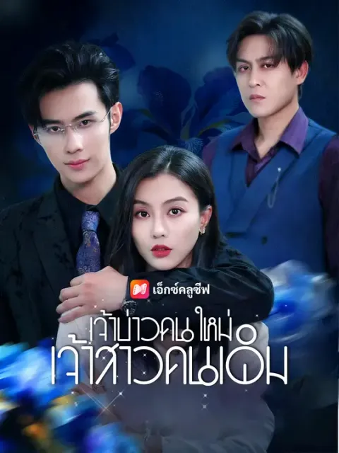 เจ้าบ่าวคนใหม่ เจ้าสาวคนเดิม ซับไทย
