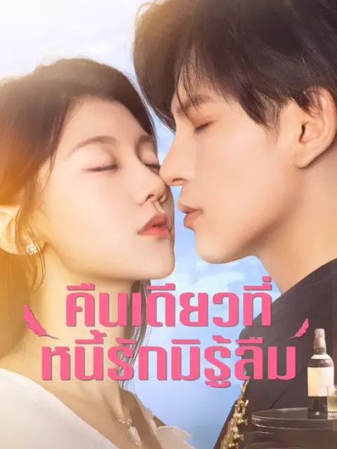 คืนเดียวที่หนี้รักมิรู้ลืม ซับไทย