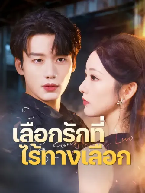 เลือกรักที่ไร้ทางเลือก ซับไทย