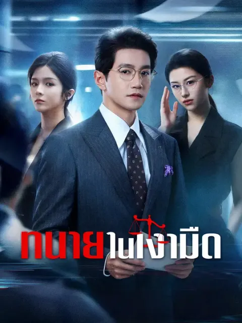 ทนายในเงามืด ซับไทย
