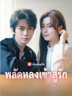 พลัดหลงเข้าสู่รัก ซับไทย