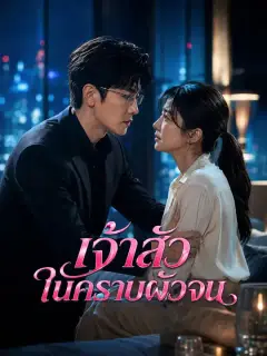 เจ้าสัวในคราบผัวจน ซับไทย