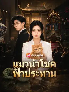 แมวนำโชคฟ้าประทาน ซับไทย