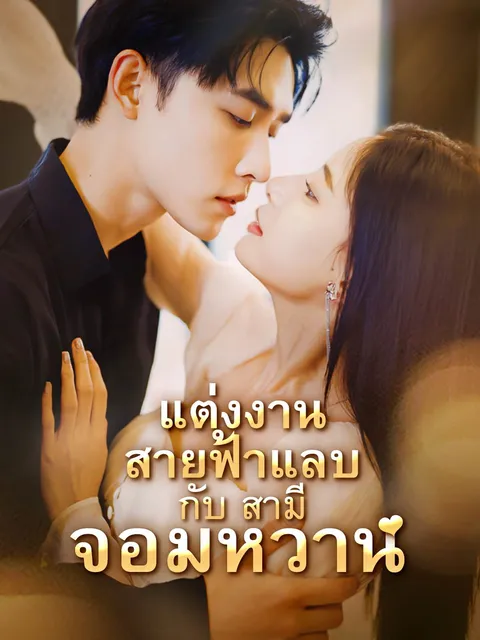 แต่งงานสายฟ้าแลบกับสามีจอมหวาน ซับไทย