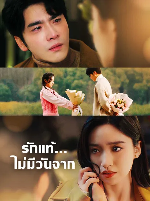 รักแท้...ไม่มีวันจาก ซับไทย