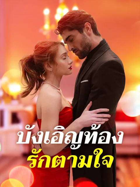 บังเอิญท้อง รักตามใจ ซับไทย