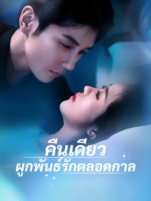 คืนเดียว ผูกพันธ์รักตลอดกาล ซับไทย