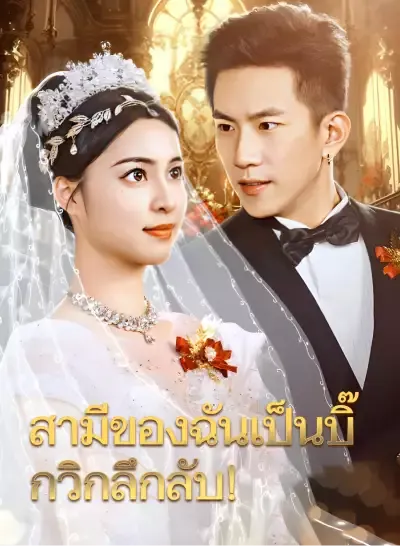 สามีของฉันเป็นบิ๊กวิกลึกลับ! ซับไทย