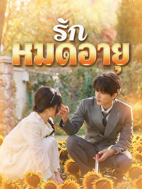 รักหมดอายุ ซับไทย